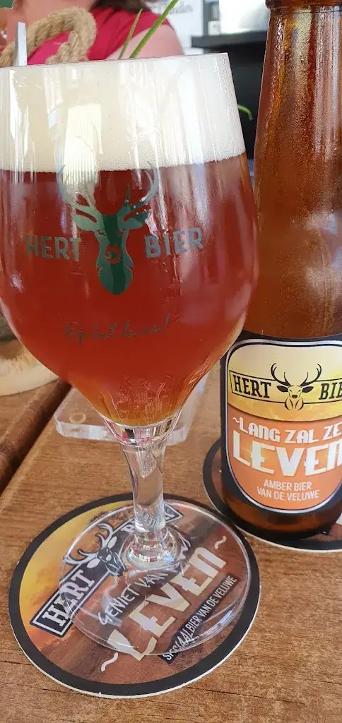 Vincent van der Linden_The Green Butterfly_Kampen_review