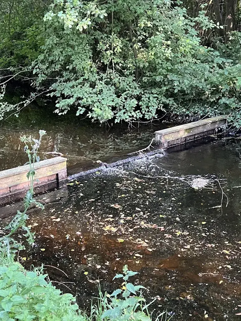 Yvo Sajet_Den Haller_Diepenheim_review