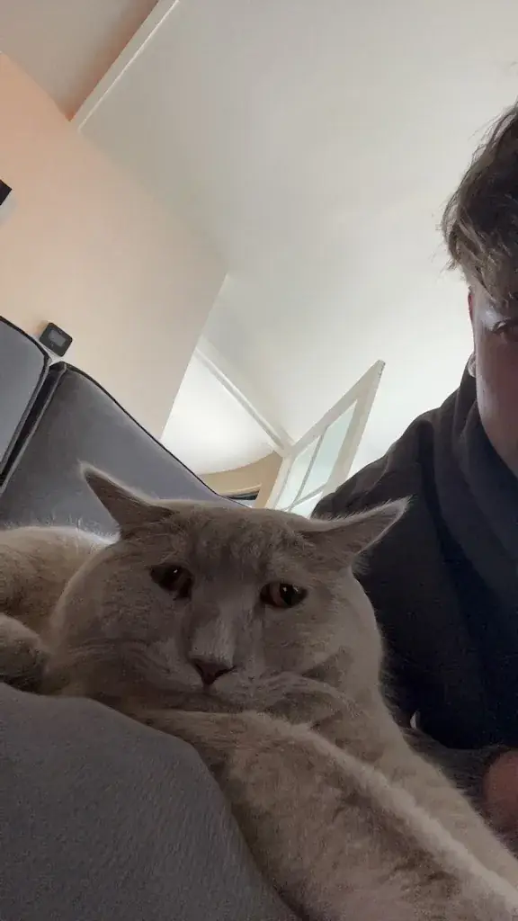 Youri Krakers_Cafetaria & Lunchroom Uit de Kunst_Diepenheim_review