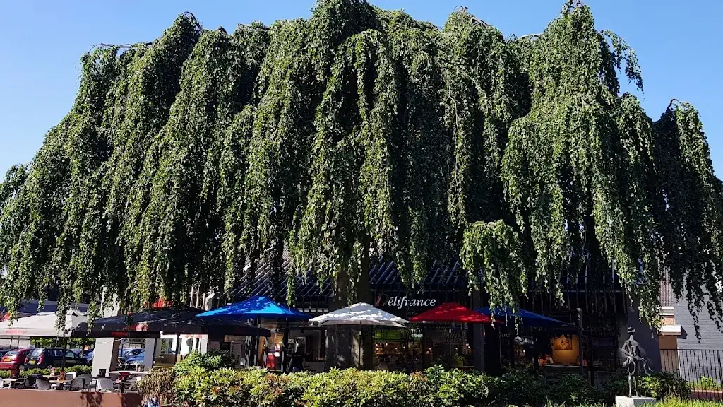 Kwalitaria Délifrance Delden_Delden_slider_image_3