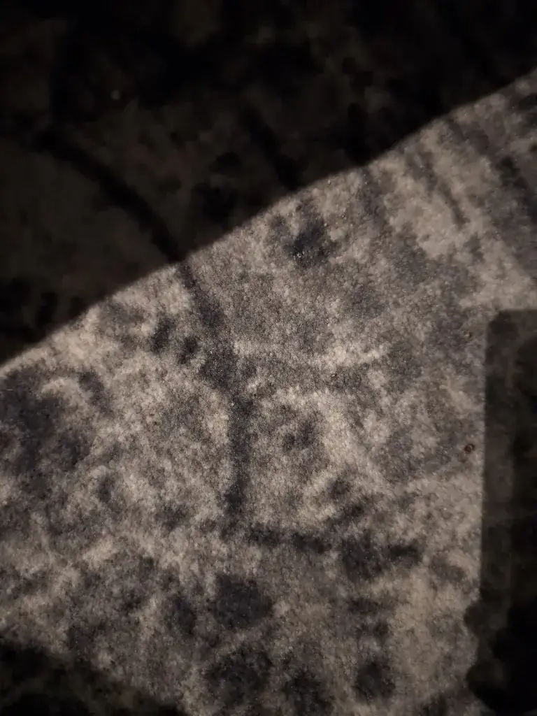 Jo L_Carelshaven_Delden_review