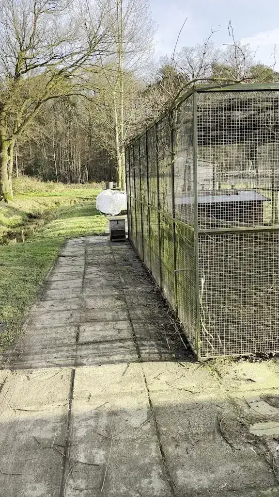 Waldy Eshuis_De Heerlijke Huiskamer_Delden_reseña