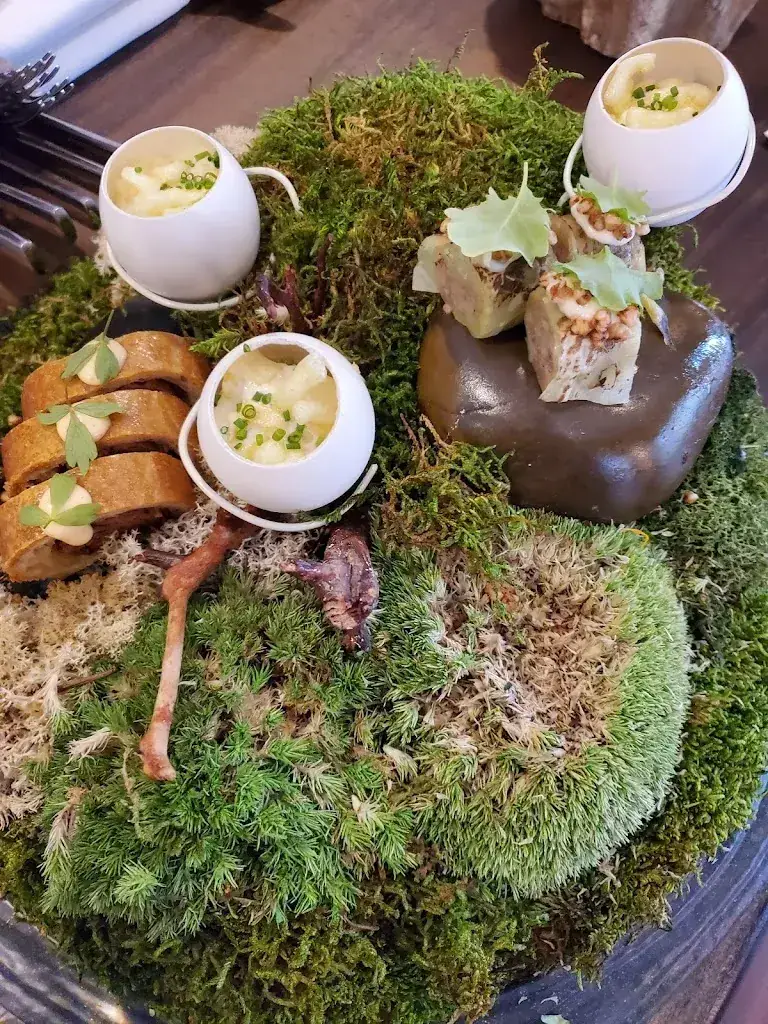 Peter van der Kreeft_The Lemon Tree_Deventer_review