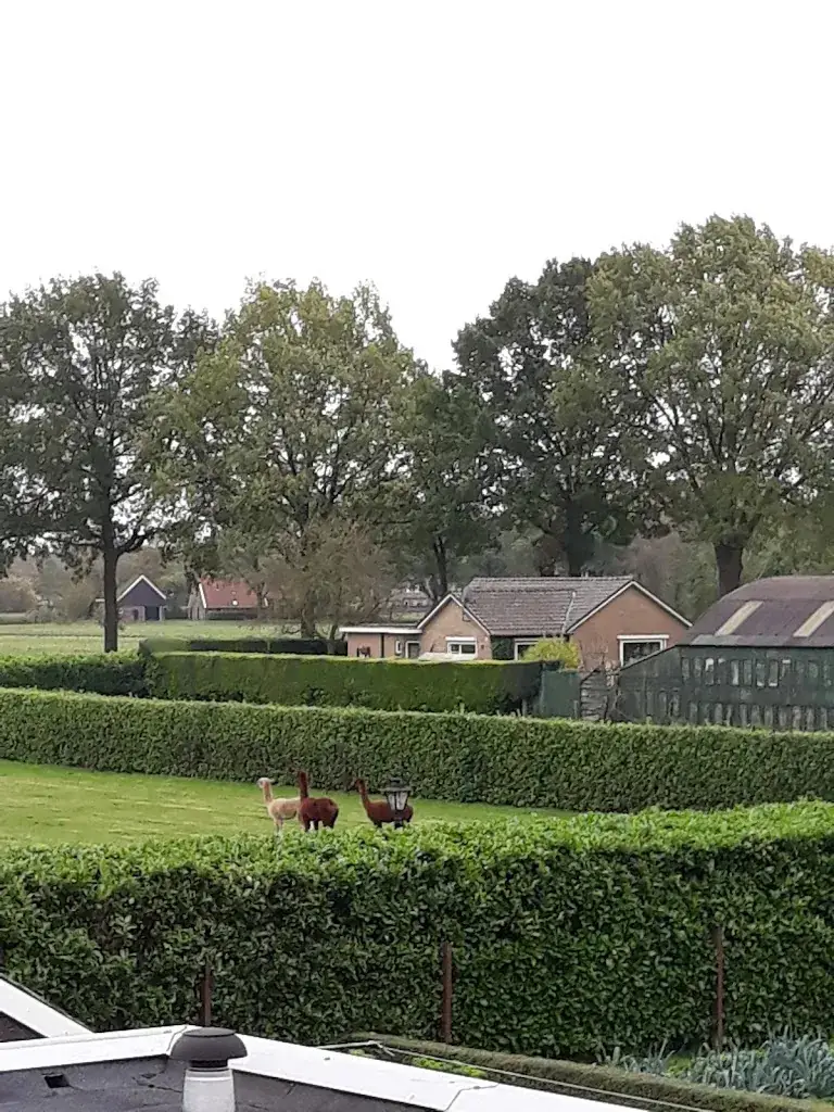 Afhaalcentrum Chinees Veneberg_Ham_slider_image_2