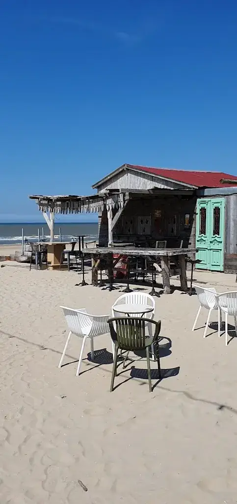 Mango’s Beachbar Zandvoort_Zandvoort_slider_image_2