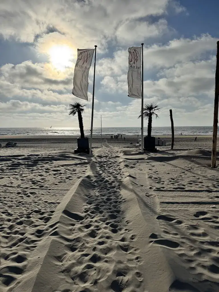 Chuck Knudson_Meijer aan Zee - Strandpaviljoen en Restaurant in Zandvoort_Zandvoort_recensione