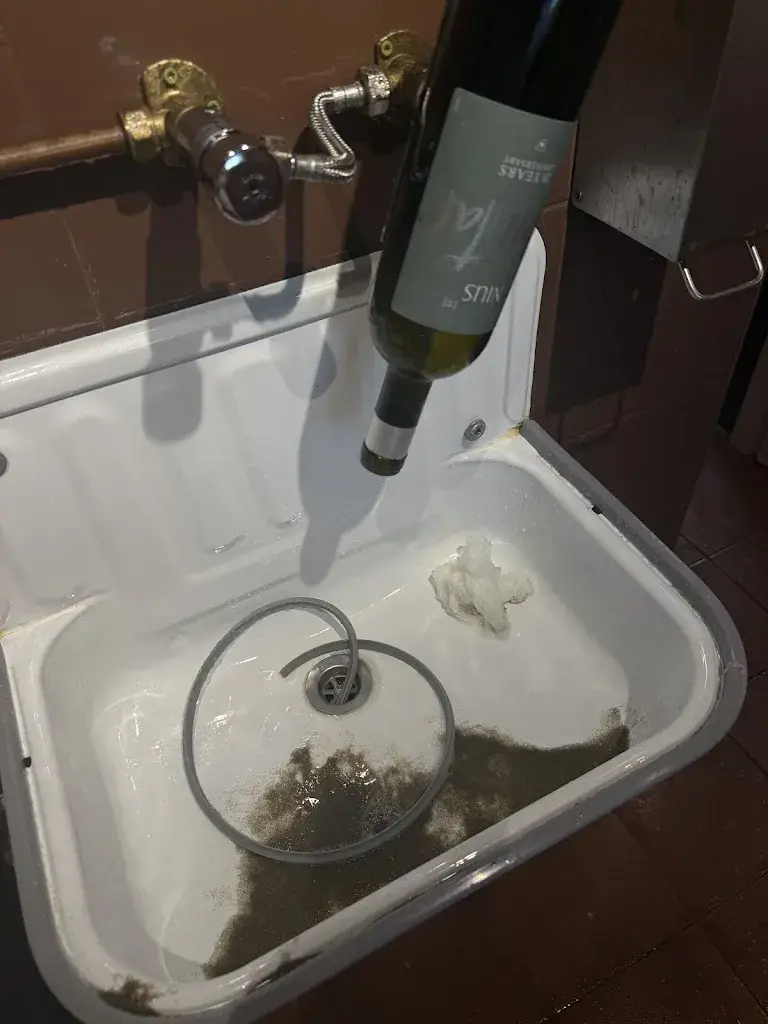 Iraida Vasulivna_NIUS Beach House_Zandvoort_review