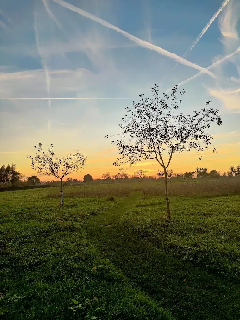 Karin Thien_Brasserie Op Duur_Nul_review