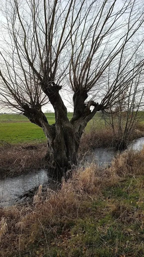 Steve_Kasteel de Haere_Olst_review