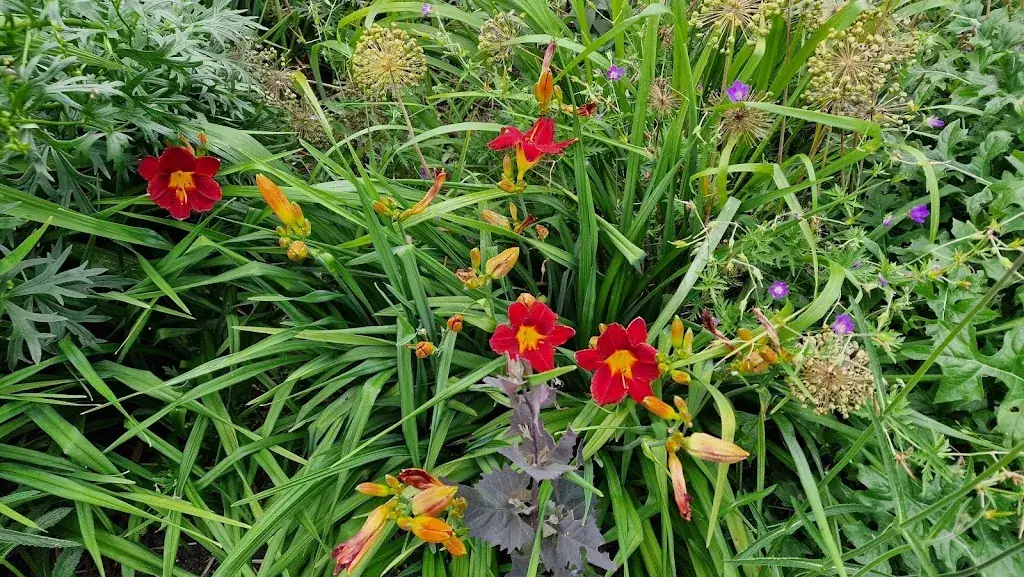 Kees_Herma's Theetuin_Olst_review