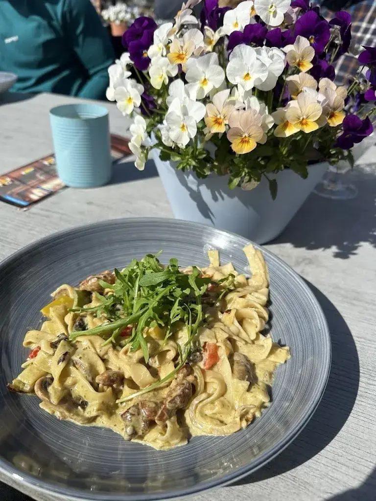 Kaveh DADKHAH_Restaurant & Rondvaartbedrijf Hollands Venetië Giethoorn_Giethoorn_reseña