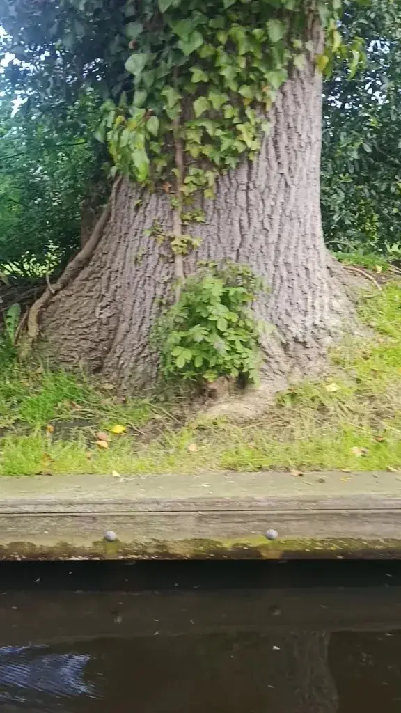 Pannenkoeken & Brasserie De Witte Hoeve_Giethoorn_slider_image_2