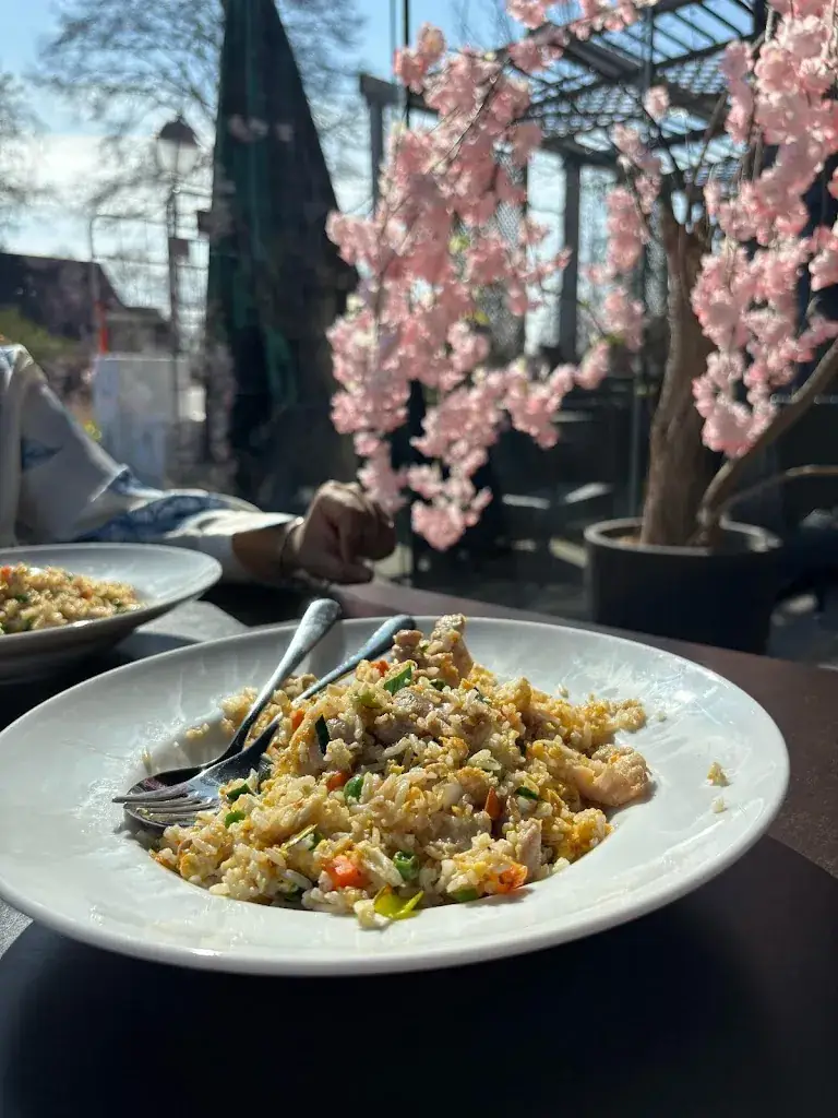 Sonia Ghosh_Chinese Restaurant Giethoorn A Niu_Giethoorn_reseña