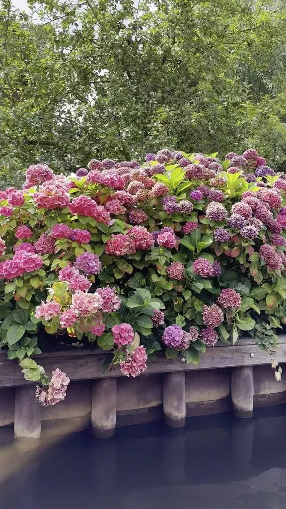 Penny King_Zwaantje Giethoorn Botenverhuur Rondvaartbedrijf Restaurant_Giethoorn_review