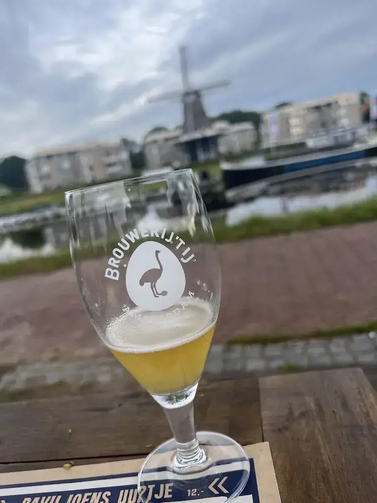 Fiene Consultancy_Paviljoen Ommen_Ommen_review