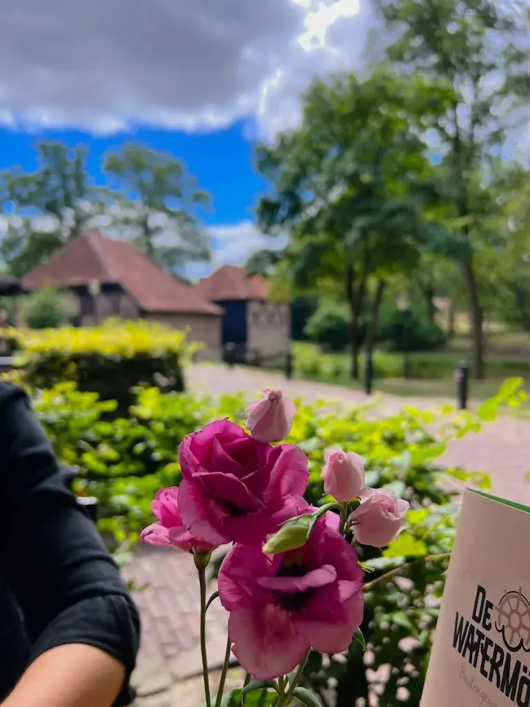 Tom Knol_Restaurant en Hotel De Watermölle_Haaksbergen_review