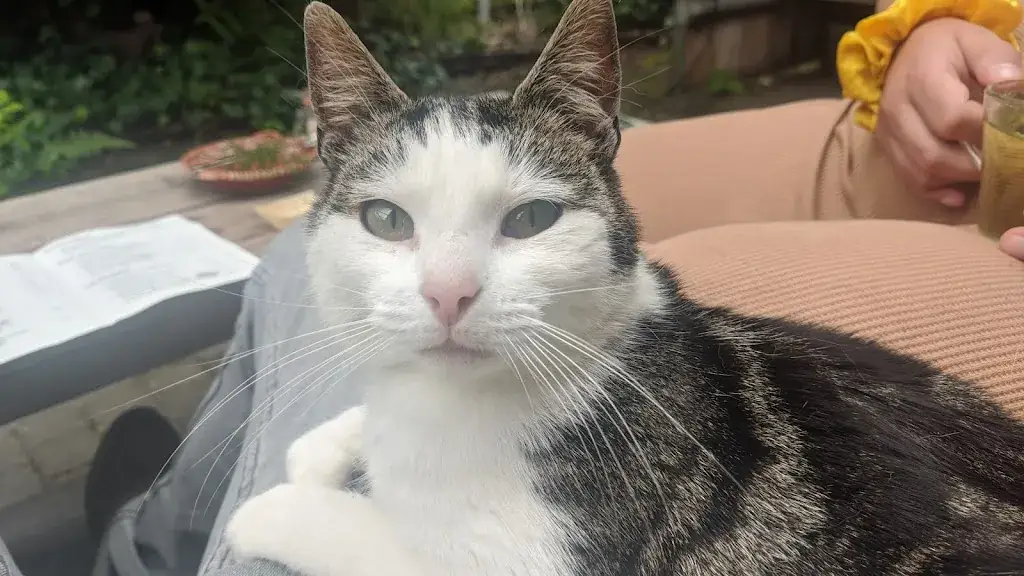 Streekwinkel & Theetuin Op ’e Stâl Buitenpost_Buitenpost_slider_image_2