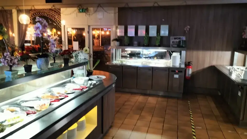 Harry Brinkman_Wok Plaza_Schalkhaar_review