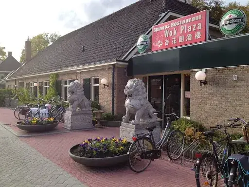 Wok Plaza restaurant in Schalkhaar