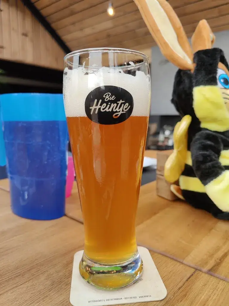 Koen Zomers_Bie Heintje_Ootmarsum_avis