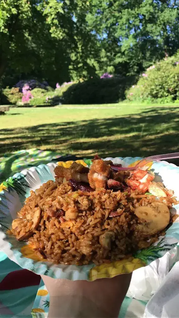 Kelly Haynes_Chinees-Indisch Surinaams Afhaalcentrum Jumbo_Enschede_review