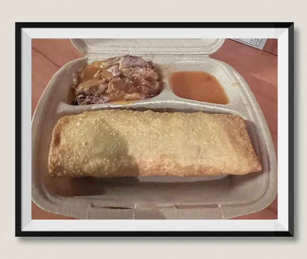 Menu_Chinees-Indisch Restaurant Kota Radja_Vroomshoop_image_6