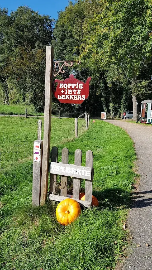 Yolanda_'t Stekkie_Rossum_review