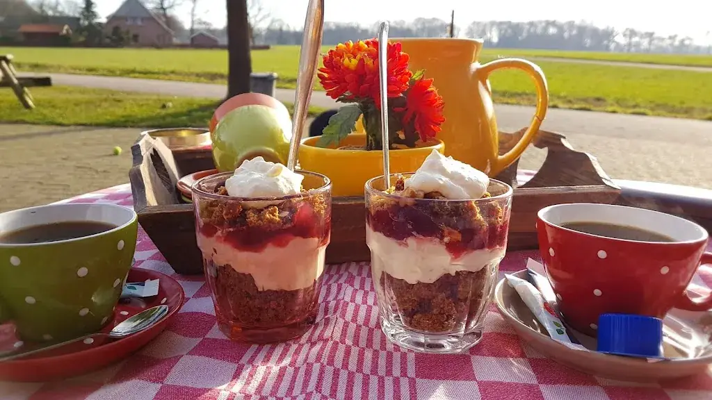 Liliana Drumea_'t Stekkie_Rossum_review