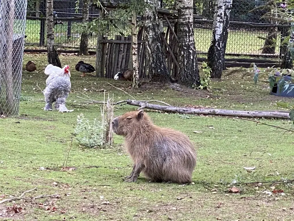 Suzy Zoo_Restaurant Klein Afrika_Oldenzaal_review