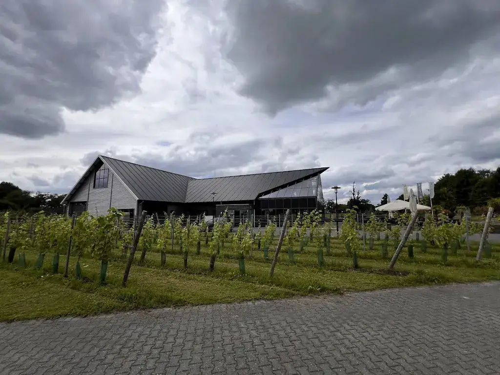 Yvo Sajet_Restaurant Vinck_Geesteren_recensione