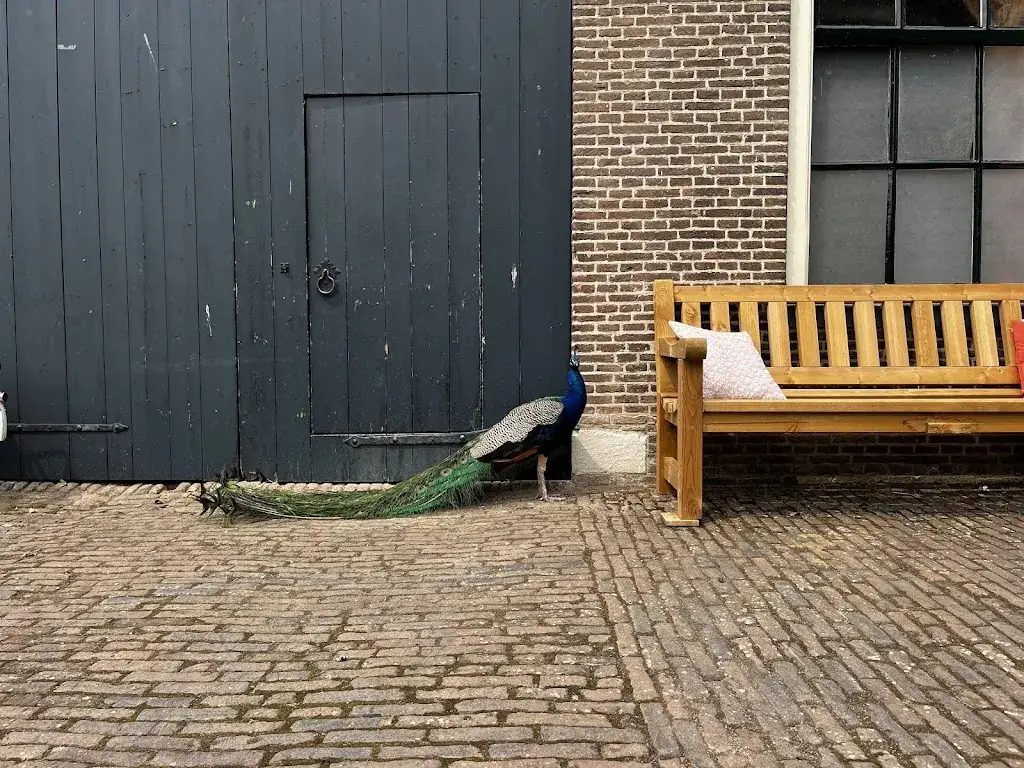 June Van Hoorn_Schenkerij De Oldenhof_Vollenhove_recensione