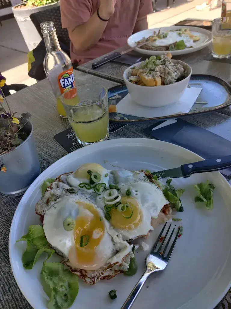 Ezgi Nihan Yılmaz_Paviljoen het ProefLab// Waterloopbos_Marknesse_review