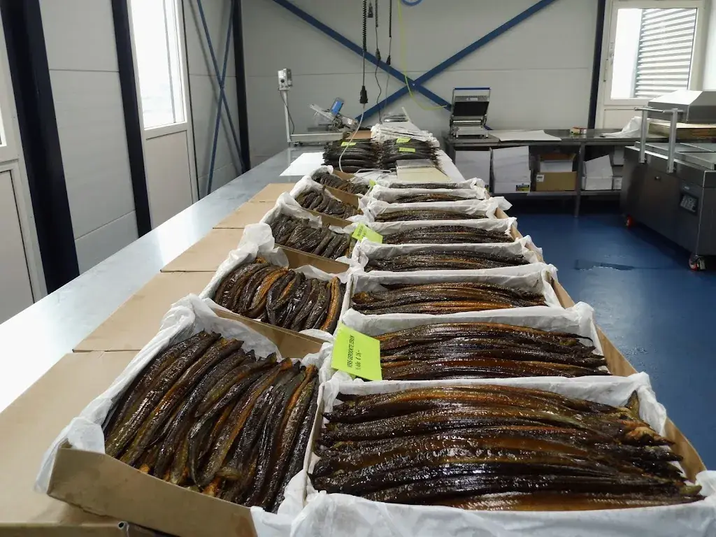 Palingrokerij en Vishandel Konter_Vollenhove_slider_image_2