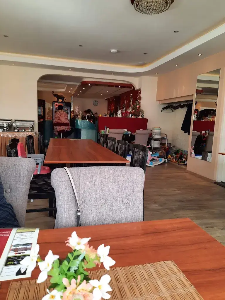 Rene Good_Chinees-Indisch Restaurant Xu Sheng_Westereen_review