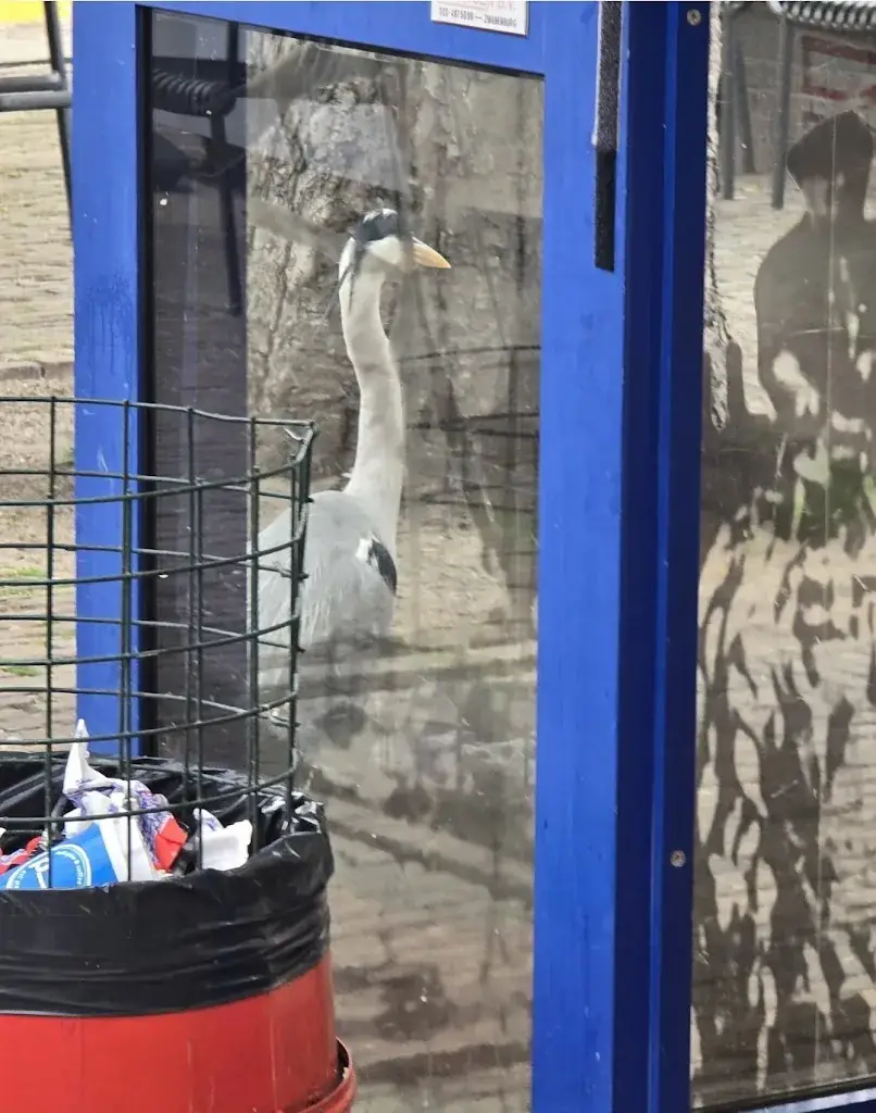 Yeh_Buitenhof Herring Stall_Haag_recensione