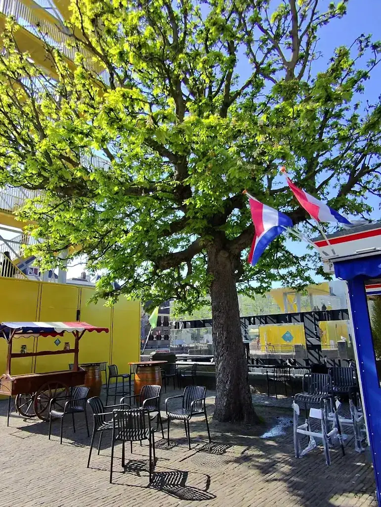 Loren Gray_Buitenhof Herring Stall_Haag_recensione