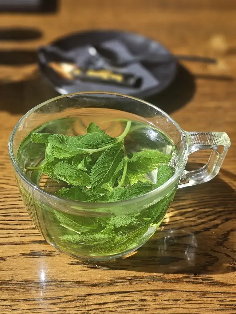 Rozalin Aliramaei_Lake House Rotterdam_Bergschenhoek_review