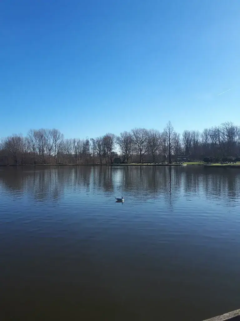 Katja Golovina-Huijskes_Familierestaurant Bergsche Plas_Bergschenhoek_recensione