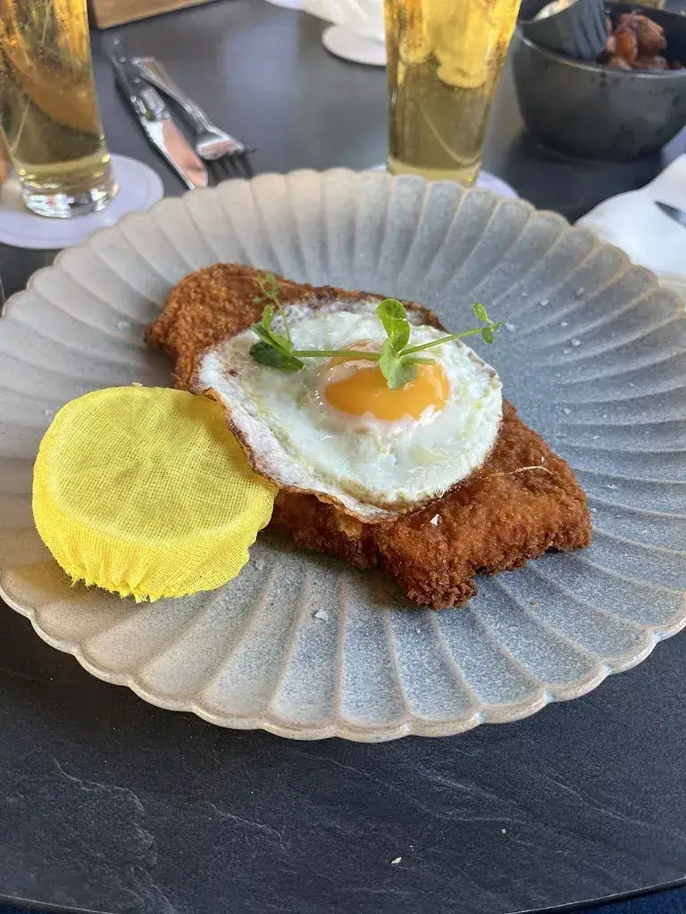 Hadi Zahedi_Willaerts_Papendrecht_review