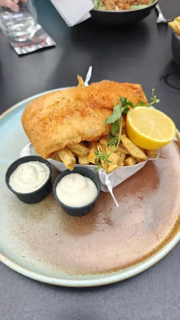 Mat B_Willaerts_Papendrecht_review