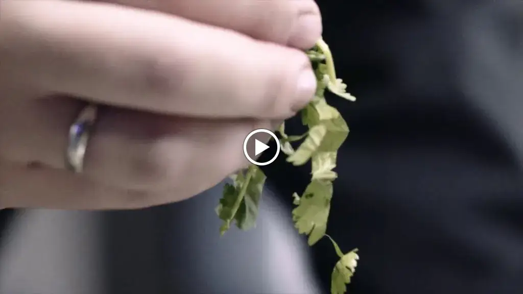 Ensemble Gastro & Bar_Zwolle_slider_image_2