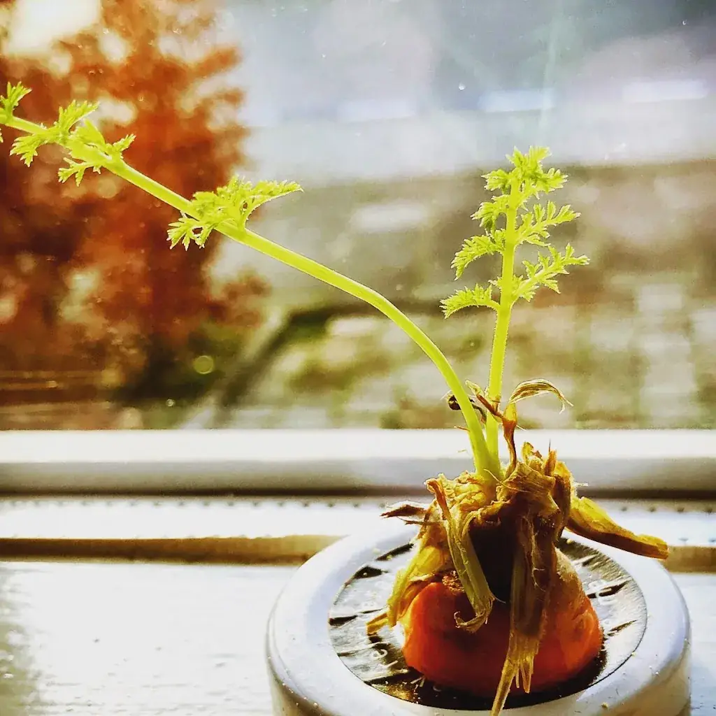 Menu_Paviljoen Struis_Ridderkerk_image_7