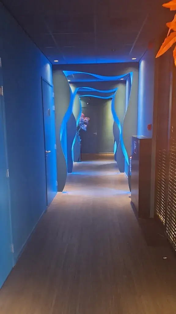 Let Sunderhus_Japans Restaurant Mizumi_Barendrecht_recensione