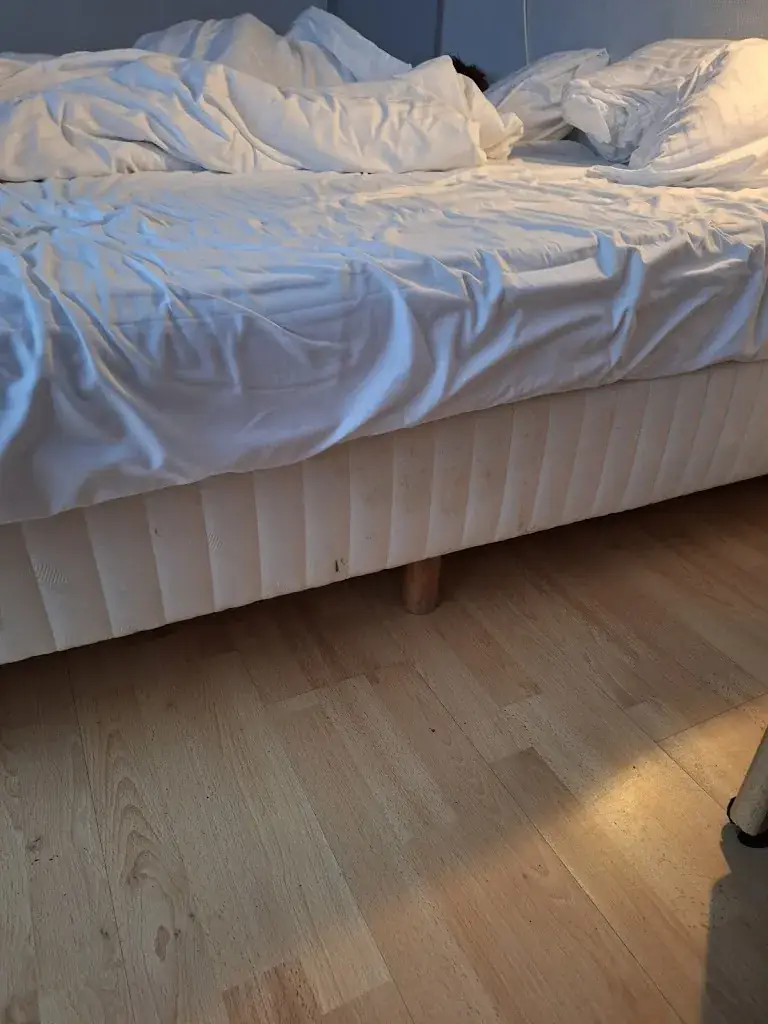 Patrick Roeffen_De Groene Weide_Bolsward_review