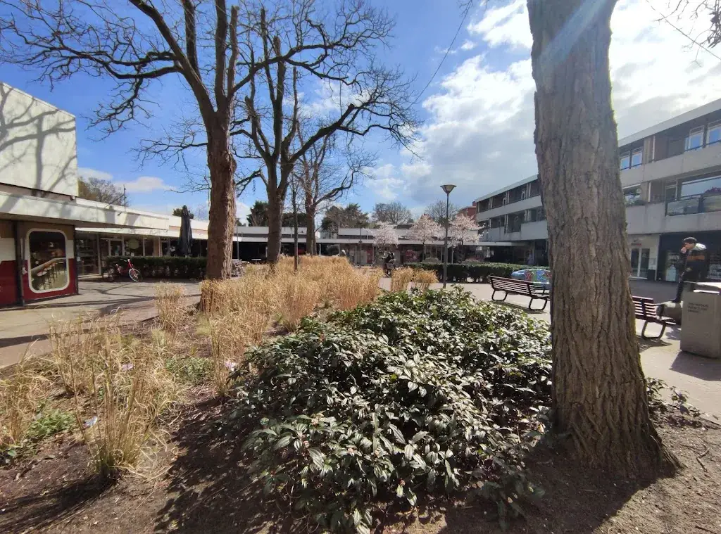Fish and Snack Food Duinzigt_Haag_slider_image_3