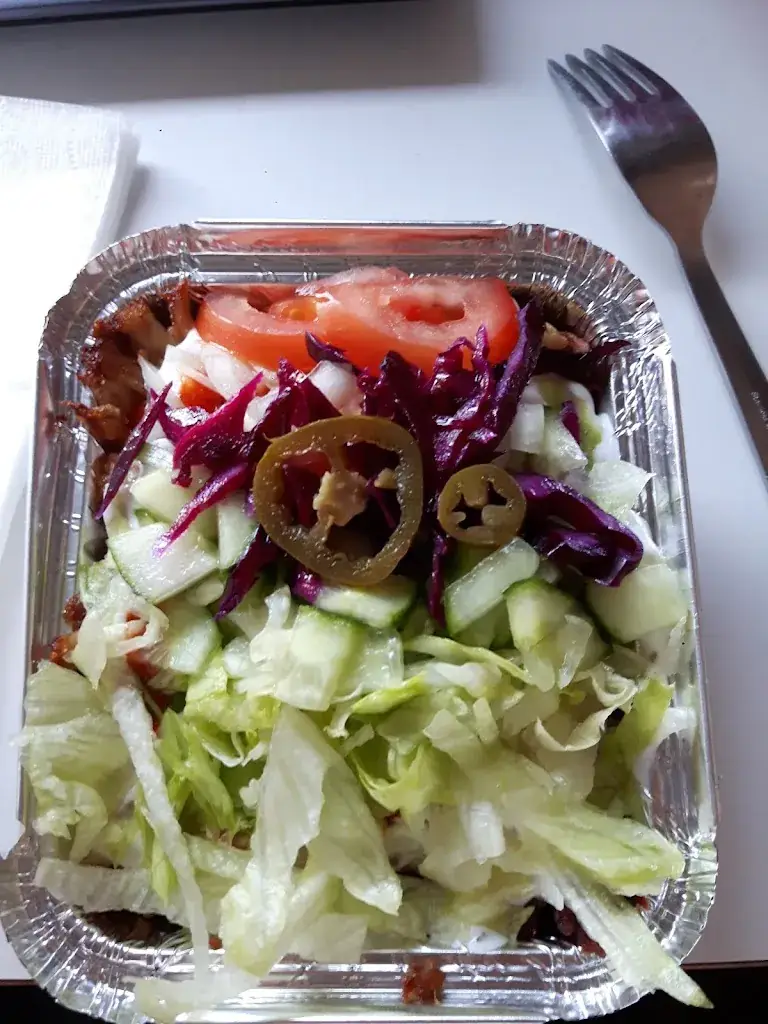 Alexandru Tremurici-Mavropol_Take Away Döner & Pizza_Haag_review