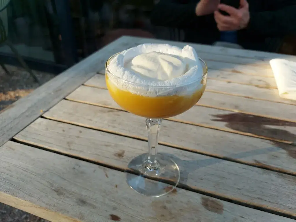 Audrey Al_De Brielsche Aap_Brielle_recensione