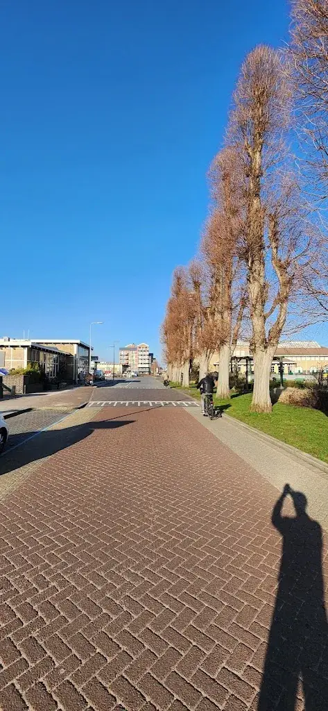 Taner SAVKIN_Perron3_Boskoop_review