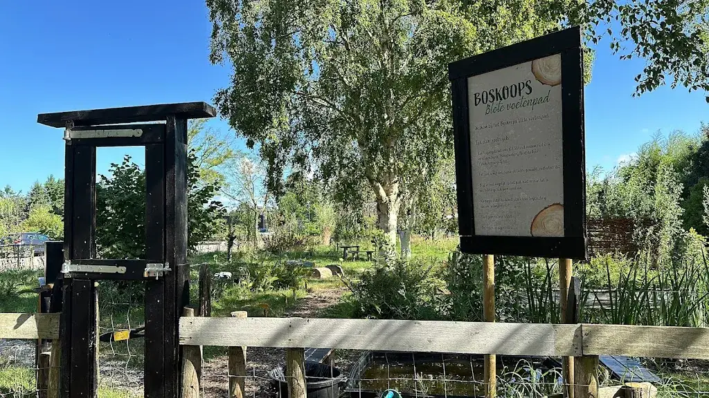 Yasmin A_Theeschenkerij & Streekwinkel Proef de Tuin_Boskoop_review