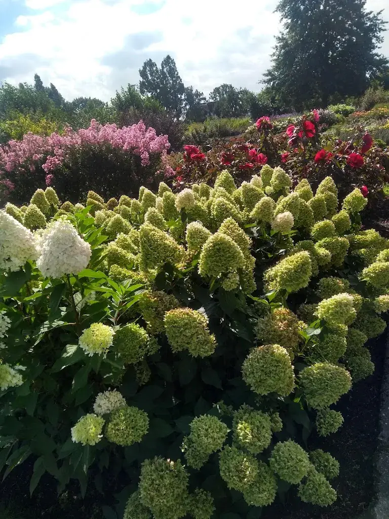 Theeschenkerij & Streekwinkel Proef de Tuin_Boskoop_slider_image_3